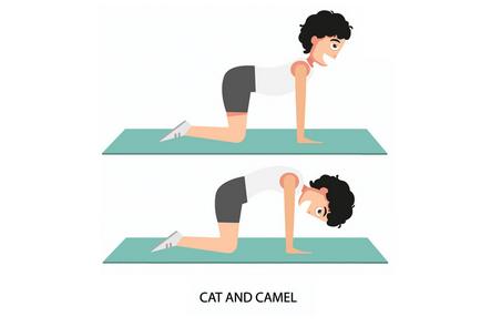 Lower Back Cat and Camel Stretch