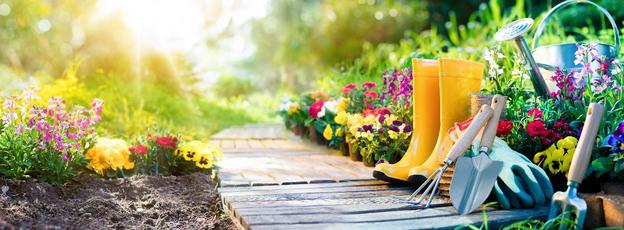 Be Smart as You Garden - Chiropractic Advice
